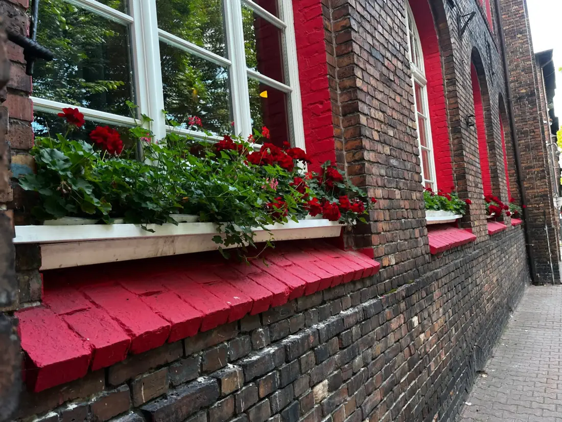 Ceglana ściana budynku w Nikiszowcu z czerwono malowanymi parapetami i skrzynkami pelargonii.